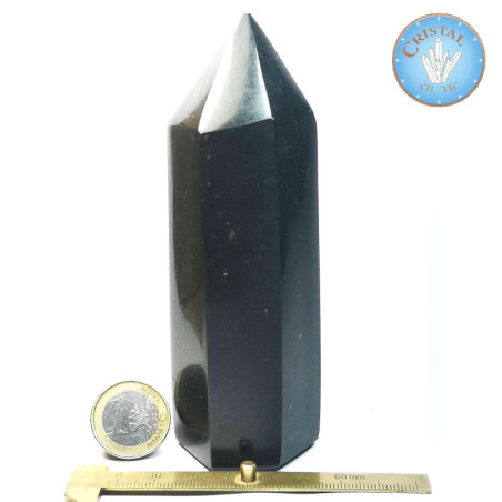 Gran Punta de Turmalina Negra Pulida - Cristal-en-vie.com