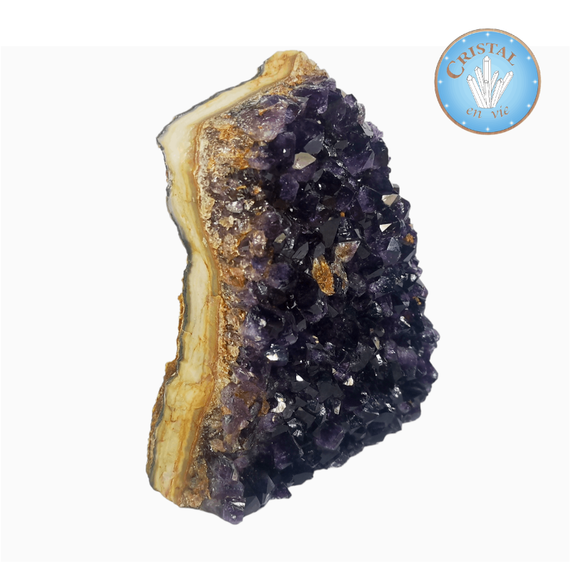 Amethyst-Druse aus Uruguay