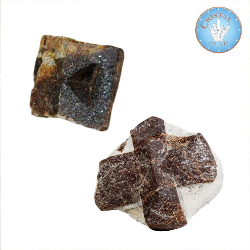Exemplo de pedra de Estaurolita – Estaurotide – Estaurotita – Cruz da Bretanha – Pedra de Coadry