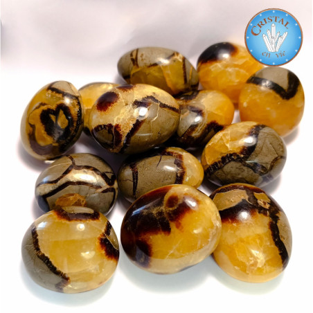 SEPTARIA - Pierre de Dragon : Pierre naturelle - grande taille