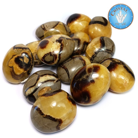 Loja : SEPTARIA - PEDRA DO DRAGÃO: Pedras Naturais do mundo: na nossa loja online.