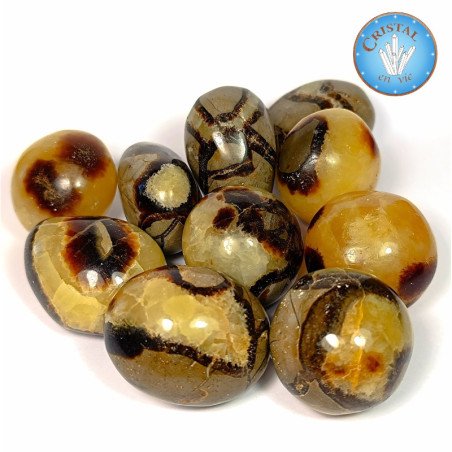 SEPTARIA - DRAGONSTONE: Natuurstenen uit de hele wereld: in onze online winkel.