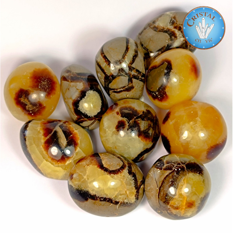 SEPTARIA - DRACHENSTEIN: Natursteine aus der ganzen Welt: in unserem Online-Shop.