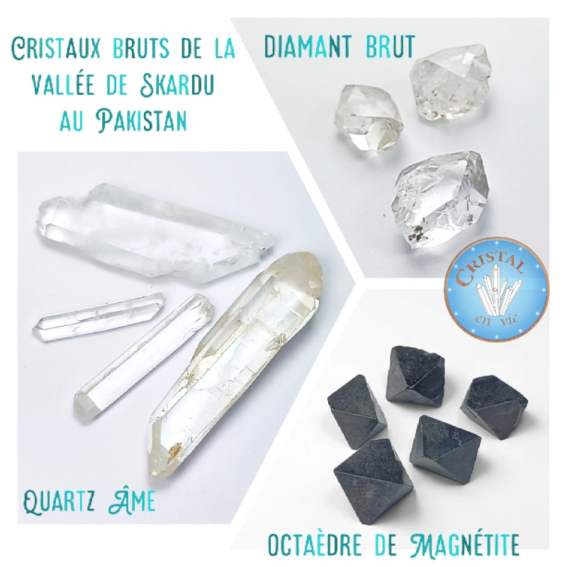 Online-Shop : Individuelles Medaillon - Natürlicher Stein