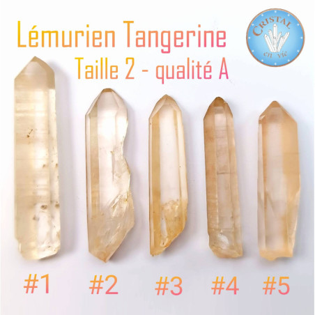 Onlie-shop : Lemurischer Quarz in Tangerin - Lemurischer Kristall, natürliche Spitze