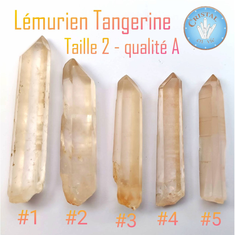 Photo - Quartz Lémurien - Cristal Lémurien - Taille 2 - qualité A.
(Verso)