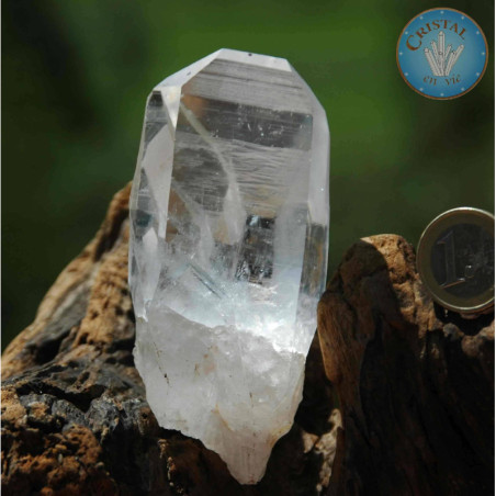 Online Shop : Lemurianischer Quarz - Quellkristall, natürliche Spitze