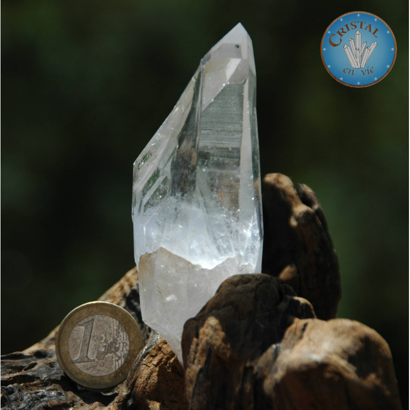 Loja: Quartzo Lemuriano - Cristal Fonte, ponta natural