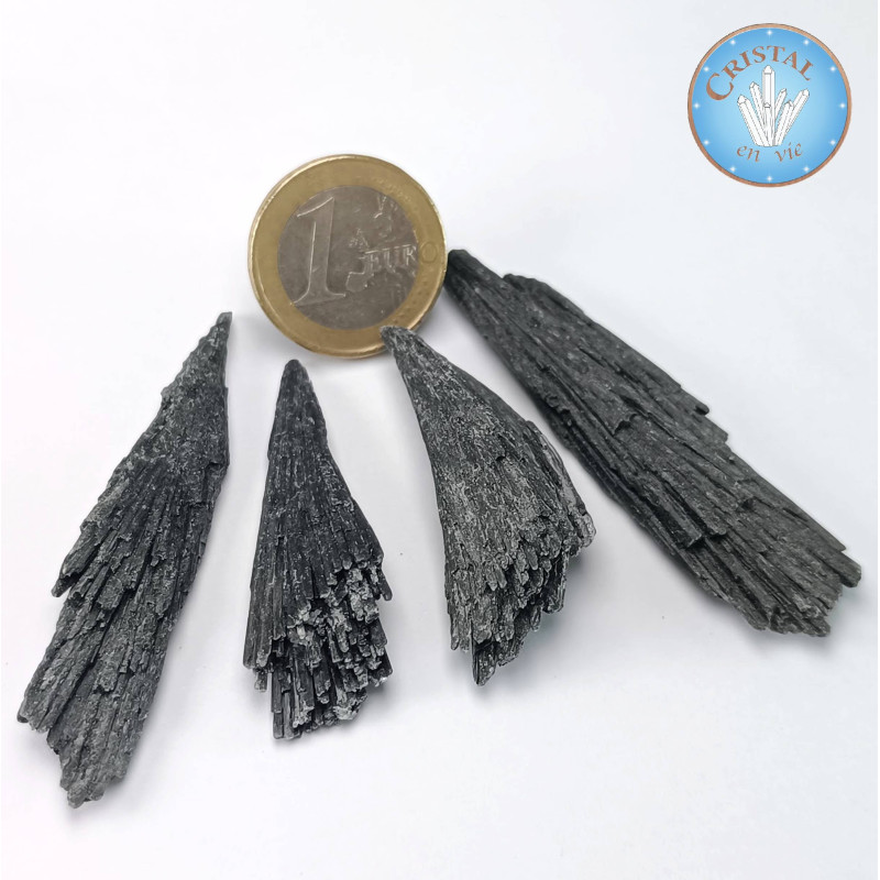 Cyanite noire - Disthène, Pierre brute cristallisée - Taille 1