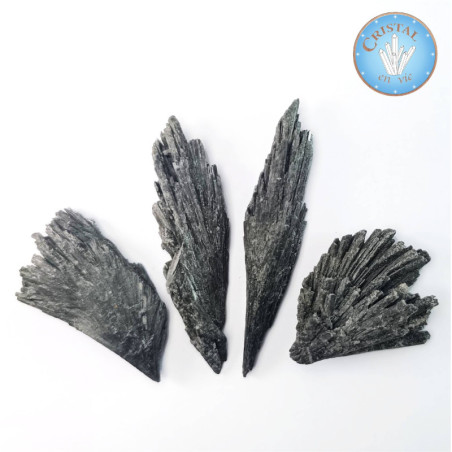 Loja: Cianita Negra - Distena, Pedra Bruta Natural Negra