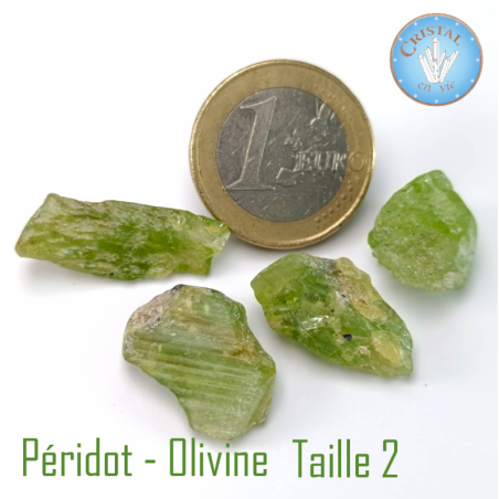 Péridot - Olivine - Pierres brutes - Taille 2