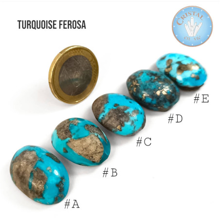 TURQUOISE FEROZA - Pierre naturelle polie d'Iran.