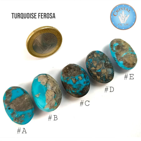 TURQUOISE FEROZA - Pierre naturelle polie d'Iran.