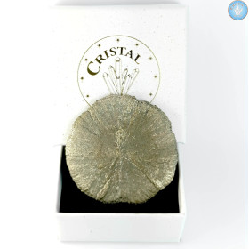 Marcassita Dollar Pirita Sol, Peça única n°2