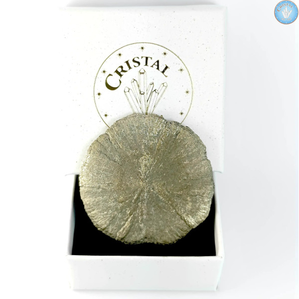 Marcassit Dollar Pyrit Sonne, Einzelstück n°2