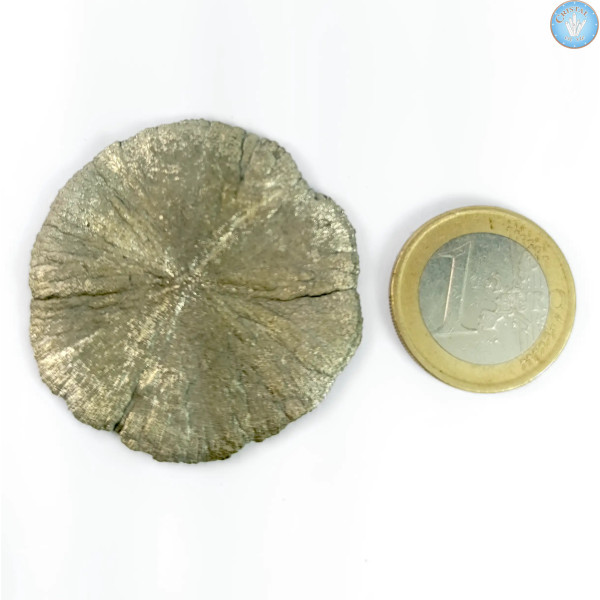 Marcassita Dollar Pirita Sol, Peça única n°2