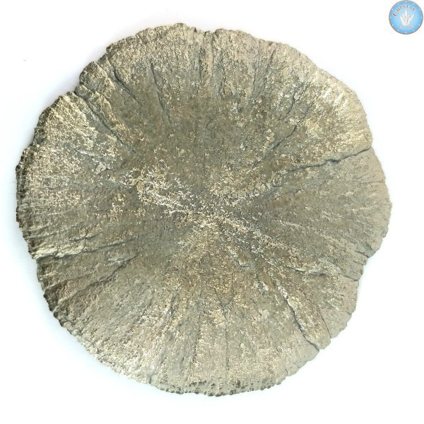 Marcassit Dollar Pyrit Sonne, Einzelstück n°2