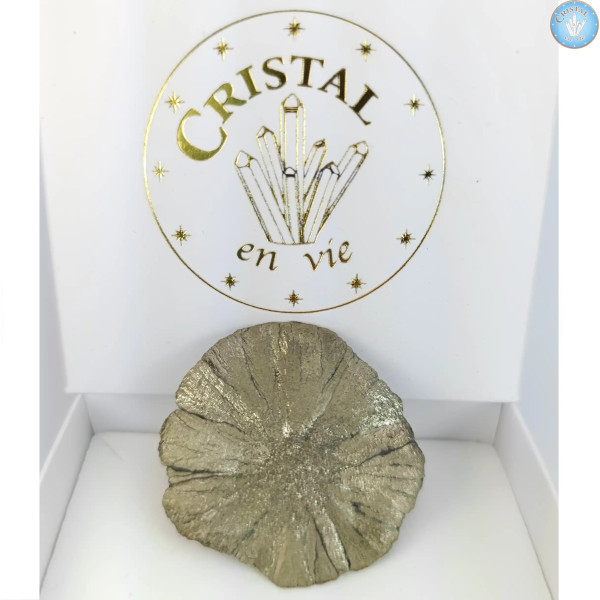 Marcassita Dollar Pirita Sol, Peça única n°4