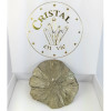 Marcassit Dollar Pyrit Sonne, Einzelstück n°4
