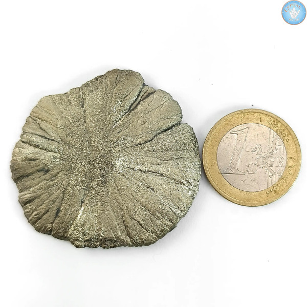 Marcassiet Dollar Pyriet Zon, Uniek stuk n°4