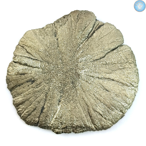Marcassiet Dollar Pyriet Zon, Uniek stuk n°4