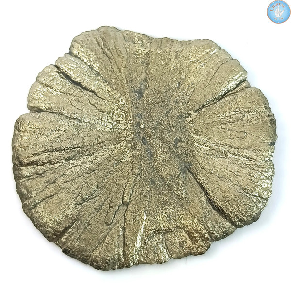 Marcassite Dollar Pirite Sole, Pezzo unico n°4