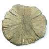 Marcassite Dollar Pirite Sole, Pezzo unico n°4