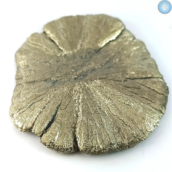 Marcassita Dollar Pyrita Sol, Pieza única n°4