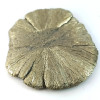 Marcassit Dollar Pyrit Sonne, Einzelstück n°4