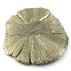 Marcassite Dollar Pirite Sole, Pezzo unico n°4