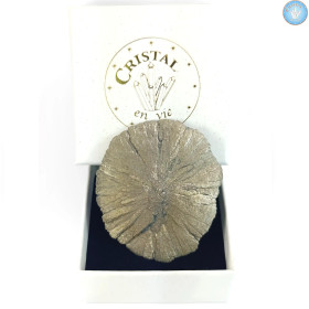 Marcassita Dollar Pirita Sol, Peça única n°7