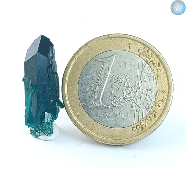 Dioptase, mono-pointe, cristal pierre brute de du Congo. n°6