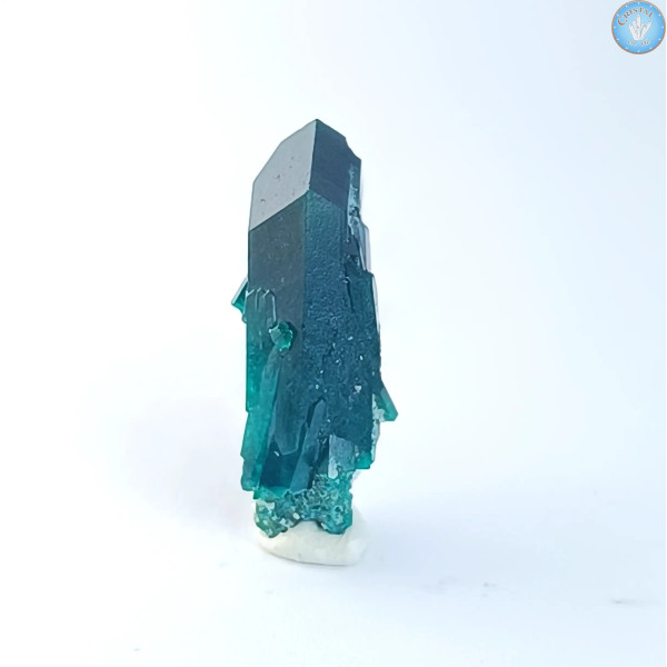 Dioptase, mono-pointe, cristal pierre brute de du Congo. n°6