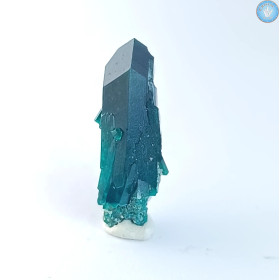 Dioptase, mono-pointe, cristal pierre brute de du Congo. n°6
