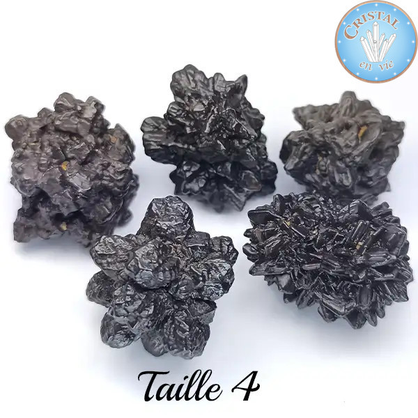 Prophecy Stone – Stone Z from Egypt – Cristal-en-vie.com