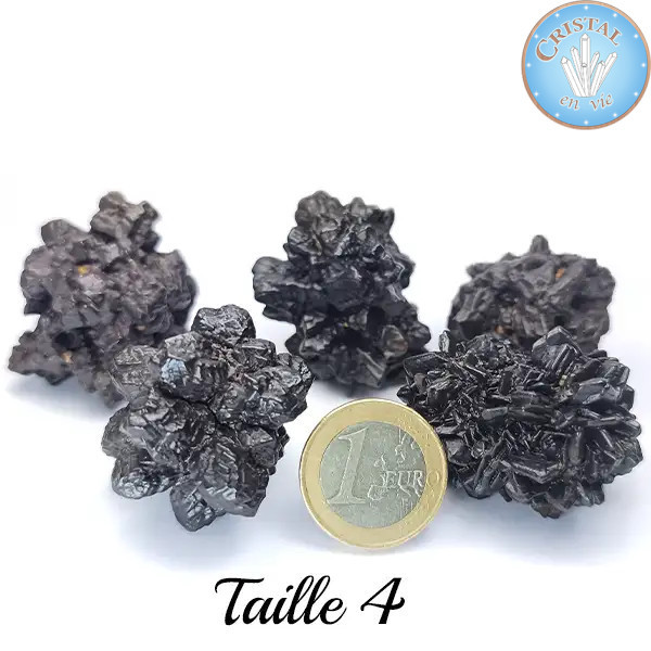 Prophecy Stone – Stone Z from Egypt – Cristal-en-vie.com