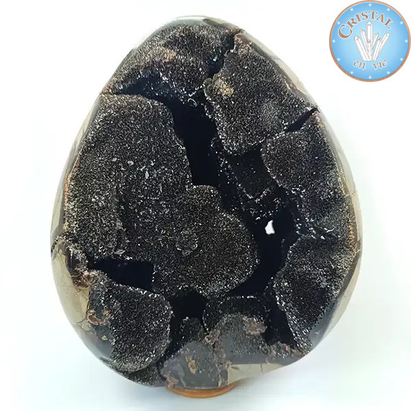 Geoda en forma de huevo de Septaria salvaje, llamada Piedra de Dragón. Piedra natural cristalizada marrón, beige y amarillo