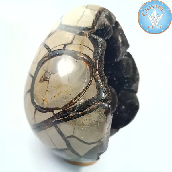 Geode a forma di uovo di Septaria selvatica, detta Pietra del Drago. Pietra naturale cristallizzata marrone, beige e giallo.