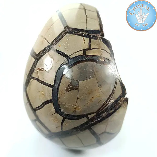 Geoda en forma de huevo de Septaria salvaje, llamada Piedra de Dragón. Piedra natural cristalizada marrón, beige y amarillo