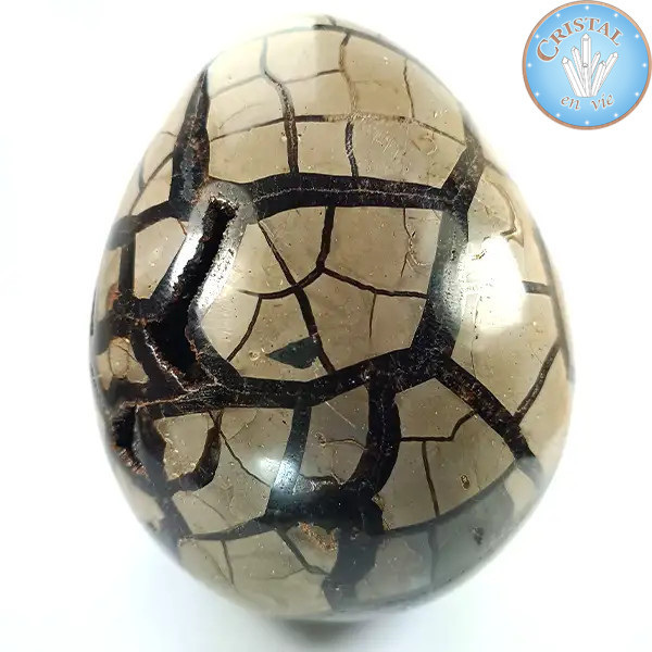 Geoda em forma de ovo de Septária selvagem, Pedra do Dragão. Pedra natural cristalizada, castanho, bege e amarelo.