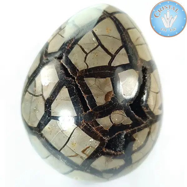 Geoda en forma de huevo de Septaria salvaje, llamada Piedra de Dragón. Piedra natural cristalizada marrón, beige y amarillo