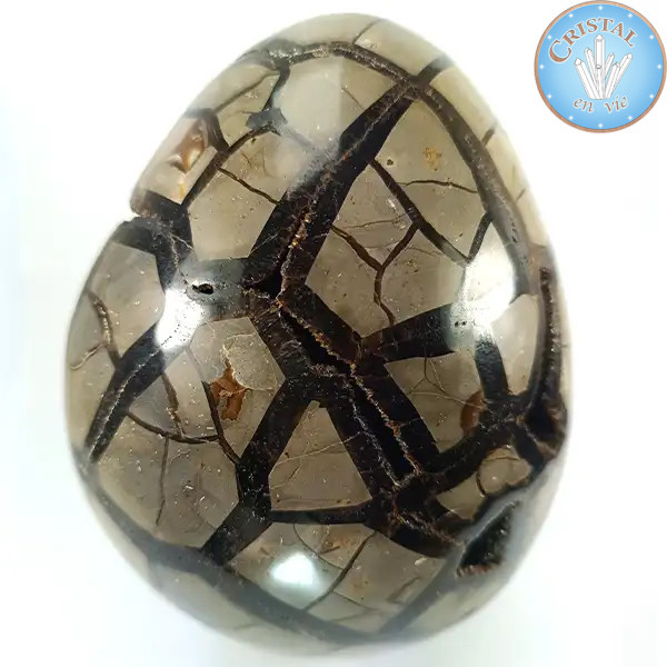 Eiförmige Geode aus wilder Septarie, auch Drachenstein genannt. Naturstein mit kristallisierter. Braun, Beige und Gelbtönen.