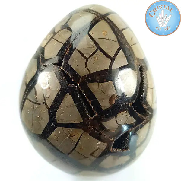 Eivormige geode van wilde Septaria, ook wel Drakensteen genoemd. Natuurlijke gekristalliseerde steen.