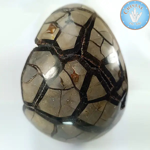 Geoda em forma de ovo de Septária selvagem, Pedra do Dragão. Pedra natural cristalizada, castanho, bege e amarelo.