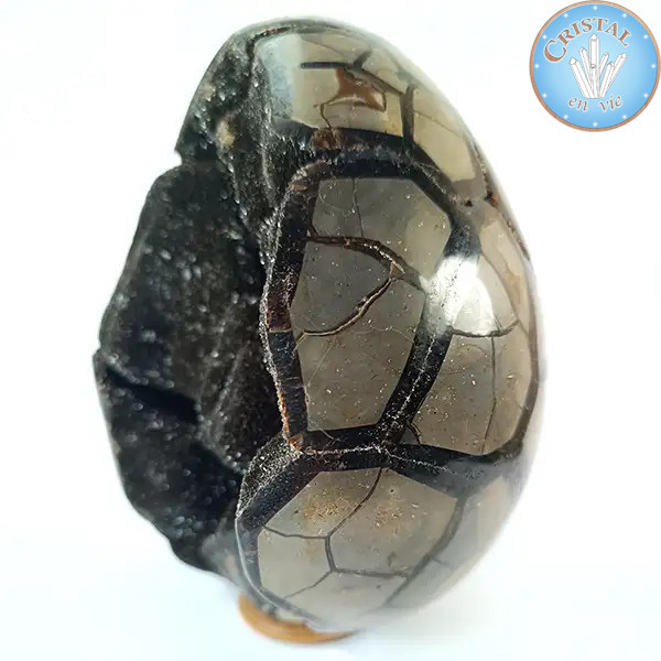 Eiförmige Geode aus wilder Septarie, auch Drachenstein genannt. Naturstein mit kristallisierter. Braun, Beige und Gelbtönen.