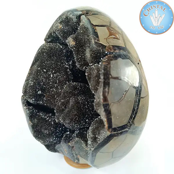 Geode a forma di uovo di Septaria selvatica, detta Pietra del Drago. Pietra naturale cristallizzata marrone, beige e giallo.