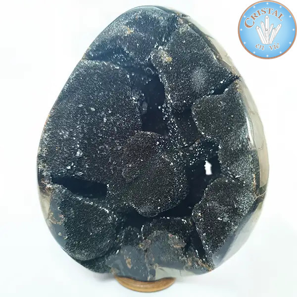 Geode a forma di uovo di Septaria selvatica, detta Pietra del Drago. Pietra naturale cristallizzata marrone, beige e giallo.