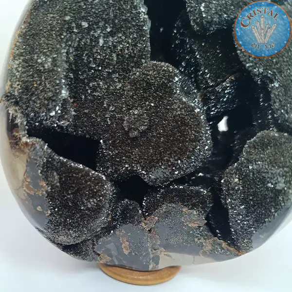 Geode a forma di uovo di Septaria selvatica, detta Pietra del Drago. Pietra naturale cristallizzata marrone, beige e giallo.