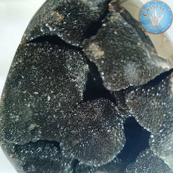 Eiförmige Geode aus wilder Septarie, auch Drachenstein genannt. Naturstein mit kristallisierter. Braun, Beige und Gelbtönen.