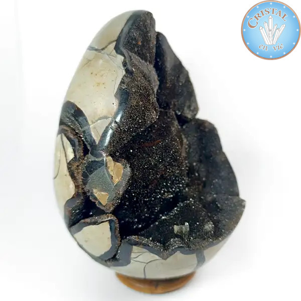 Eiförmige Geode aus wilder Septarie, auch Drachenstein genannt. Naturstein mit kristallisierter. Braun, Beige und Gelbtönen. n2